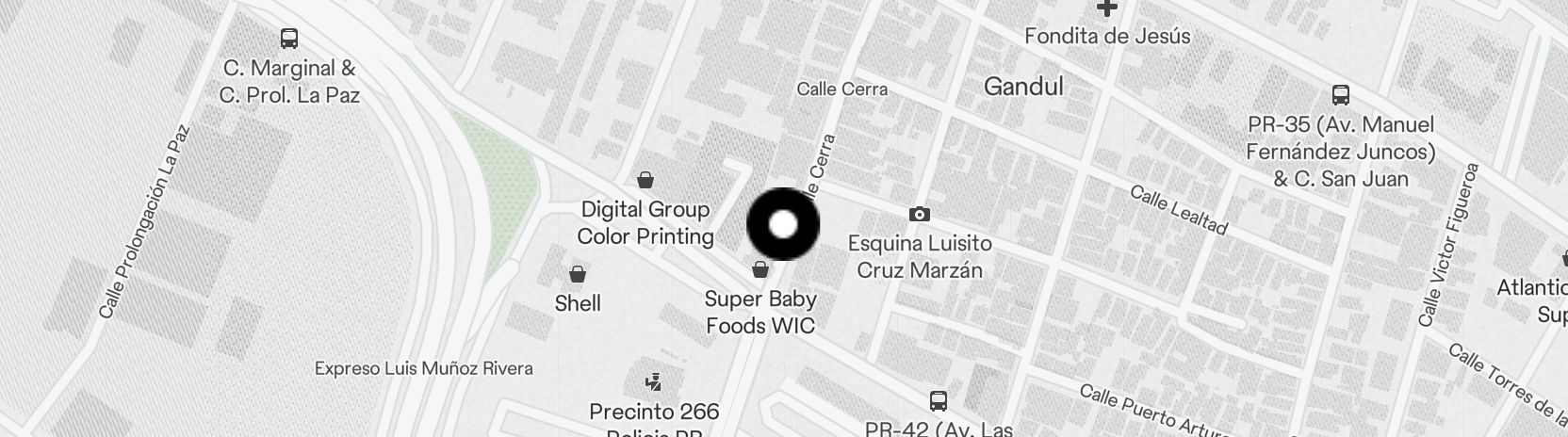 Static Map
