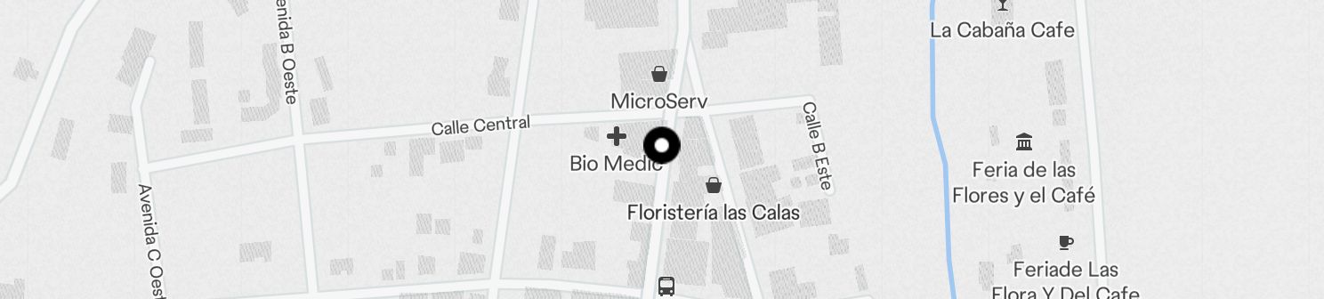 Static Map