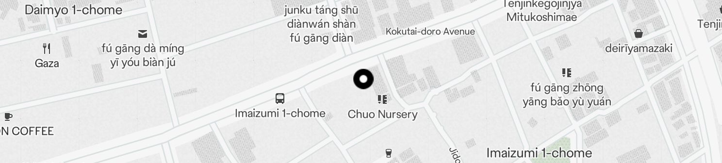 Static Map