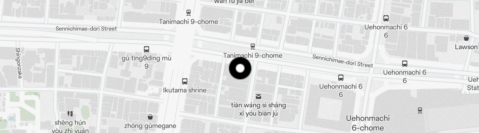 Static Map