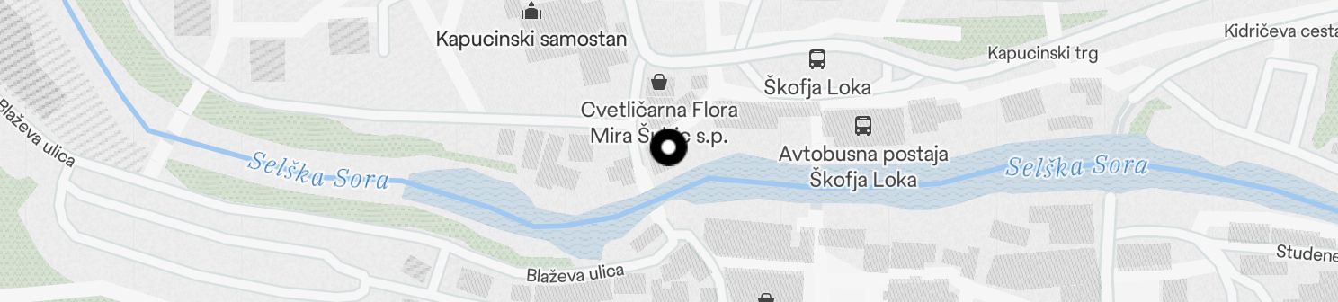 Static Map