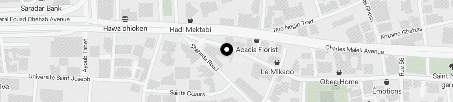 Static Map