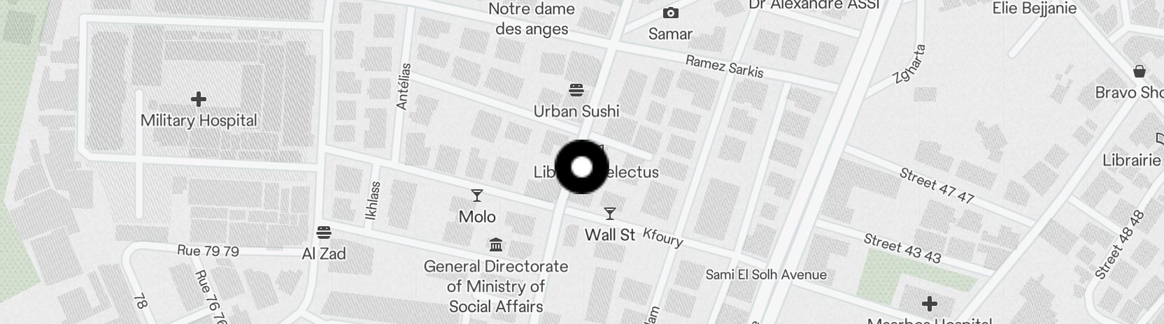 Static Map