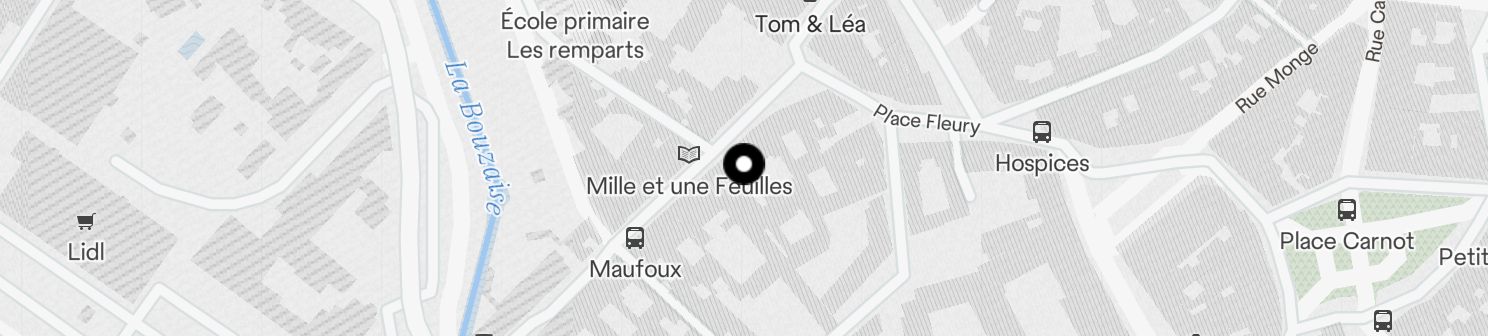 Static Map