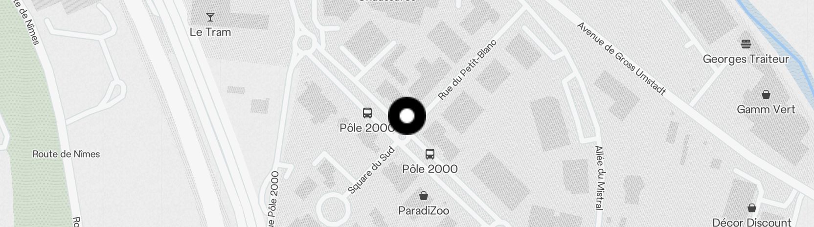 Static Map