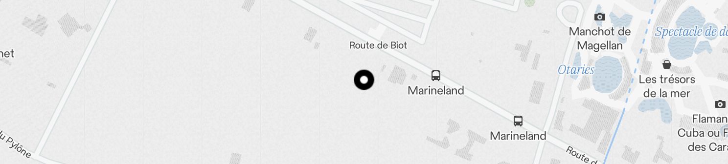 Static Map